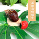 寵以沫蝸?；铙w寵物白玉蝸牛巨型特大蝸牛寵物教學(xué)小蝸牛上課科學(xué)課套餐 3-4厘米小蝸牛(2只牛)