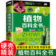 植物百科全書(shū)兒童百科全書(shū)全3冊精裝注音版動(dòng)物世界植物昆蟲(chóng)兒童科普類(lèi)書(shū)籍自然生物世界王國探秘大全 植物百科全書(shū) 彩圖注音版