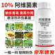10%阿維菌素殺蟲(chóng)劑農藥紅蜘蛛銹壁虱稻縱卷葉螟卷葉蛾菜青蟲(chóng)果樹(shù) 1000ml