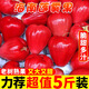 時(shí)寐海南紅寶石蓮霧當(dāng)季新鮮水果霧蓮大果現(xiàn)摘連霧果整箱 帶箱5斤（單果40-80克）
