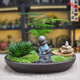 苔蘚微景觀(guān)植物虎須小盆栽文竹辦公桌擺件創(chuàng  )意金錢(qián)盆景 石來(lái)運轉大盆 配工具 含盆