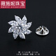 薇施妮（WEISHINI）雪花鋯石胸針女感防走光扣精致男士西服小胸花配飾品 刺馬針風(fēng)車(chē)-白金075