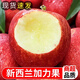 臻亦尚新西蘭加力果應當季新鮮蘋(píng)果gala嘎啦蘋(píng)果姬娜果加納果精選大果 精選果 3斤價(jià)格