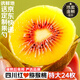 京地達(dá)蒲江紅心獼猴桃 24枚特大果單果100g+ 奇異果水果源頭直發(fā)包郵