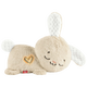 【9成新】費雪（Fisher-Price）嬰兒玩具安撫玩偶哄睡玩偶新生兒見(jiàn)面禮-費雪音樂(lè )安撫小兔子JCC12