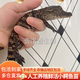 IGIFTFIRE食用鮮活小鱷魚活物鱷魚苗人工養(yǎng)殖小鱷苗魚苗茶鱷苗鱷龜苗小泰鱷 精品小鱷魚一條 25-30cm