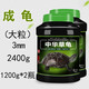德瑞水族德瑞中華草龜水龜糧食物巴西龜小烏龜甲魚(yú)墨龜飼料火焰金線(xiàn)龜 草龜烏龜大粒1200g-2