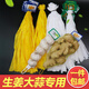 蓒鷸網(wǎng)袋批發(fā)大蒜網(wǎng)兜生姜網(wǎng)袋裝蒜的袋子超市促銷尼龍編織包裝袋 黃色生姜網(wǎng) 1000個
