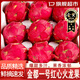 橙小士金都一號紅心火龍果 海南蜜寶紅肉超甜新鮮時(shí)令水果年貨鮮果整箱 5斤特大果【4-6個(gè)裝】