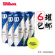 威爾勝（Wilson）專業(yè)比賽訓(xùn)練罐裝網(wǎng)球 WR8208802 上海大師賽款6罐