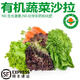 諸氏橙品【有機(jī)】蔬菜沙拉 新鮮混合5種蔬菜 健身輕食西餐色拉配菜食材 【5種有機(jī)沙拉包-——1.5KG】