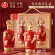 五糧液股份出品 官方授權(quán) 優(yōu)級酒 酒水禮盒送禮佳選 52度 500mL 2瓶 禮盒裝