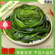 胖東來(lái)同款海白菜無(wú)鹽海白菜海藻整箱段新鮮裙帶梗涼拌厚實(shí)免洗 100··克嫩裙帶梗覓海仙