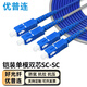 優(yōu)普連 電信級(jí)鎧裝光纖跳線單模雙芯LC-LC/SC/FC/ST 千兆萬兆鎧甲尾纖 防鼠咬抗拉抗彎跳纖光纖線 鎧裝單模雙芯SC-SC 10米