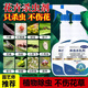 槿森泉花卉殺蟲(chóng)劑月季花草殺蟲(chóng)劑植物蚜蟲(chóng)蚧殼蟲(chóng)紅蜘蛛小黑飛通用噴劑除 【花卉植物用】殺蟲(chóng)劑2瓶+1噴頭