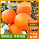 庾豐正宗江西贛南臍橙 新鮮橙子孕婦水果現摘 源頭直發(fā) 當季紐荷爾橙 5斤大果(凈果4.5斤) 單果200g+