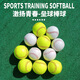標(biāo)準(zhǔn)12寸壘球職業(yè)中學(xué)棒球軟硬實(shí)心兒童用棒球訓(xùn)練打棒球的球類 12寸標(biāo)準(zhǔn)壘球1個(gè)(綠色)