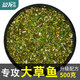 盈龍 釣草魚餌料野釣黑坑專用大草魚青魚配方魚餌 草魚專攻餌料500克