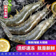 御貢鮮 鹽凍大蝦冰蝦海蝦凍蝦青蝦白蝦對蝦鮮活冷凍蝦鮮蝦冷凍毛重2kg 15-17厘米【只只活凍】 加量4斤裝【店長(cháng)推薦】