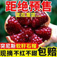 突尼斯正宗軟籽甜石榴新鮮水果四川會理大果整箱紅肉無籽時令應(yīng)季 帶箱9-9.5斤特大果【國王級】 10g 普通快遞