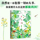 蟲子間(少兒版) 少兒版 世界ZUI美的書得主 朱贏椿 有趣 故事 藝術 審美 自然 觀察 想象 創(chuàng)意手繪 互動 涂色 愛心樹
