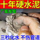 水泥溶解劑下水道管道強力溶解廁所混凝土石灰水泥沙子堵塞疏通劑 一瓶裝【水泥溶解劑】