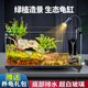 爬將軍超白玻璃烏龜缸造景家用小別墅飼養(yǎng)箱帶曬臺(tái)養(yǎng)烏龜專用缸生態(tài)魚缸 60cm【缸+造景+過濾曬燈】