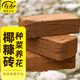 壽禾 椰磚營(yíng)養土椰糠種菜用烏龜冬眠大塊養花多肉通用 椰磚3塊