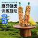 布卡星鸚鵡蔬菜磨牙棒虎皮玄鳳鸚鵡啃咬互動鳥糧2根
