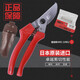 愛(ài)麗斯（ARS）日本進(jìn)口120EU修枝剪果樹(shù)剪粗枝剪園藝工具剪刀園藝修枝剪刀園林 愛(ài)麗斯 ARS120EU+剪套+彈簧