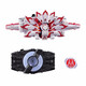 萬代（BANDAI）假面騎士極狐 GEATS腰帶驅(qū)動器 帶扣 聯(lián)動配件 MK9帶扣+欲望驅(qū)動器套裝