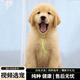 寵六福純種金毛幼犬寵物狗狗活體小狗活物幼崽 寵物級 公