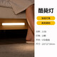 正泰（CHNT）照明學(xué)生宿舍臥室燈學(xué)習(xí)閱讀磁吸附式寢室USB書桌燈酷斃燈 3.5W 4000K  臥室房間酷斃小夜燈