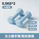 華亞（HUAYA）浸塑啞鈴男女家用健身肌肉塑形手臂鍛煉器材兒童小啞鈴六角手鈴 【純鐵】0.5kg*2只藍色