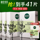 相宜本草面膜女 四倍蠶絲補水保濕亮膚護膚品生日禮物 補水亮膚40片（4盒裝）