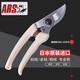 愛麗斯（ARS）日本愛麗斯剪枝剪刀進(jìn)口修枝剪ARS 130DX果樹剪刀 樹剪剪子愛麗絲 日本原裝130DX一把