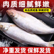 山東特產(chǎn)咸魚(yú)白鱗魚(yú)500咸香老式咸魚(yú)山東特產(chǎn)海魚(yú)白魚(yú)海鮮 半干咸白鱗魚(yú)1斤裝