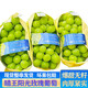振億沭山東陽(yáng)光玫瑰葡萄脆甜多汁【JD--送貨上門】新鮮當(dāng)季時(shí)令生鮮水果 精選果串裝1.5斤凈重單粒8-10g