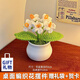 愛禮優(yōu) 向日葵束桌面擺件生日禮物女生勵(lì)志送女友男友小禮品手工編織花 白色勿忘我+禮品袋+賀卡