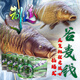 東區釣魚(yú)線(xiàn)制道谷麥200米尼龍磯釣淡水線(xiàn)水庫線(xiàn)海釣結實(shí)耐磨漁線(xiàn)腳線(xiàn)魚(yú)絲 制道 谷麥 200米 1號