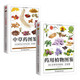 藥用植物圖鑒+中草藥圖鑒套裝（全2冊）生活百科全圖鑒