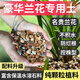 花大師蘭花植料純顆粒蘭花專(zhuān)用土盆栽土種植營(yíng)養土養花小石頭透氣不爛根 蘭花豪華顆粒土 5斤X2袋
