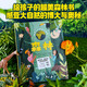 森林 保護6萬種樹木的家杰絲 弗倫奇等著 超美森林書，培養(yǎng)兒童生態(tài)文明素養(yǎng)【5-10歲】