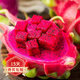 歐悟【買(mǎi)2顆送1顆】火龍果苗南方北方庭院陽(yáng)臺盆栽地栽紅心火龍果樹(shù)苗 紅龍火龍果 六年苗（結果多多）