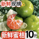 卉雙云南青皮蜜桔10斤新鮮孕婦水果現(xiàn)摘酸甜綠薄皮密橘子蜜橘柑橘整箱 蜜桔 帶箱3斤精選 凈重2.5斤