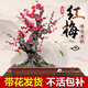 花行榜濃香型盆栽冬季花卉植物耐寒 紅梅老樁（3公分粗）源頭直發(fā)