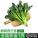 綠食者綠食者 新鮮西蘭苔2斤 時(shí)令蔬菜蘭花苔青花西藍(lán)苔青花菜 炒菜食材 1斤