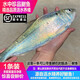 品鮮肴冰鮮鰣魚(yú) 鮮活現殺湖區生態(tài)養殖鰣魚(yú) 淡水魚(yú)海鮮水產(chǎn) 600-700g/條 1條裝（現稱(chēng)重非凈重）