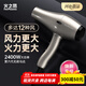火之鳳吹風(fēng)機6600X 發(fā)廊專(zhuān)用大功率2400W大風(fēng)力低噪音家用恒溫護發(fā)不傷發(fā) 理發(fā)店專(zhuān)業(yè)電吹風(fēng)筒 6600X鈦金灰 （四檔風(fēng)）