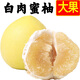 產(chǎn)地直銷(xiāo)正宗平和琯溪蜜柚白心柚子白肉蜜柚10斤水果沙田白柚批發(fā) 大果2-4個(gè)帶箱共9-10斤